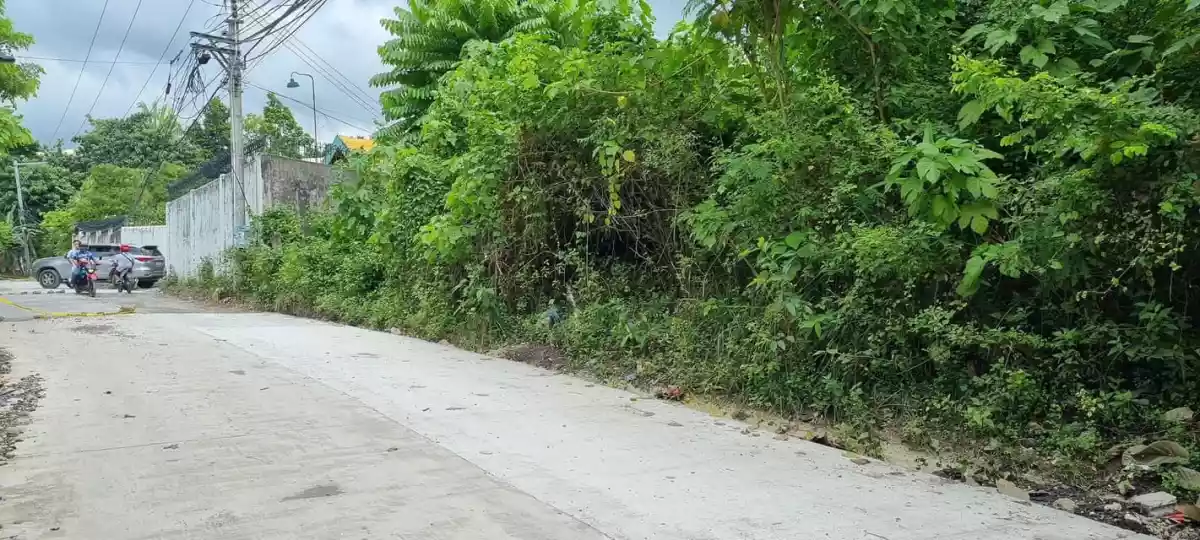 Lot for Sale in Banawa, Cebu City  - photo 5