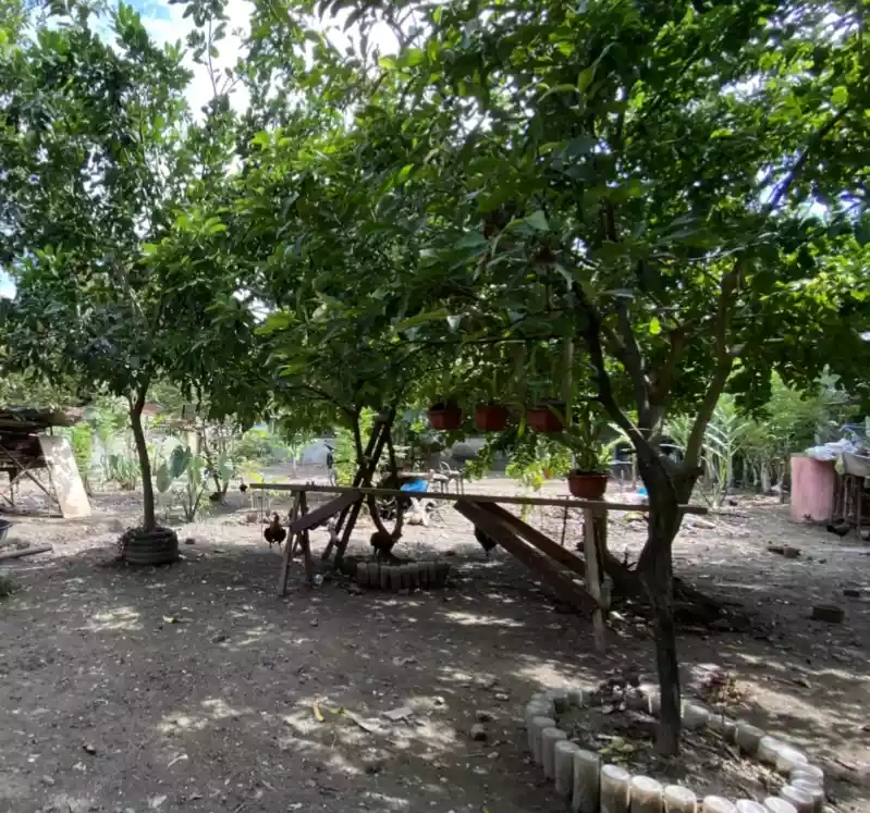 Lot For Sale Minglanilla Cebu - photo 5