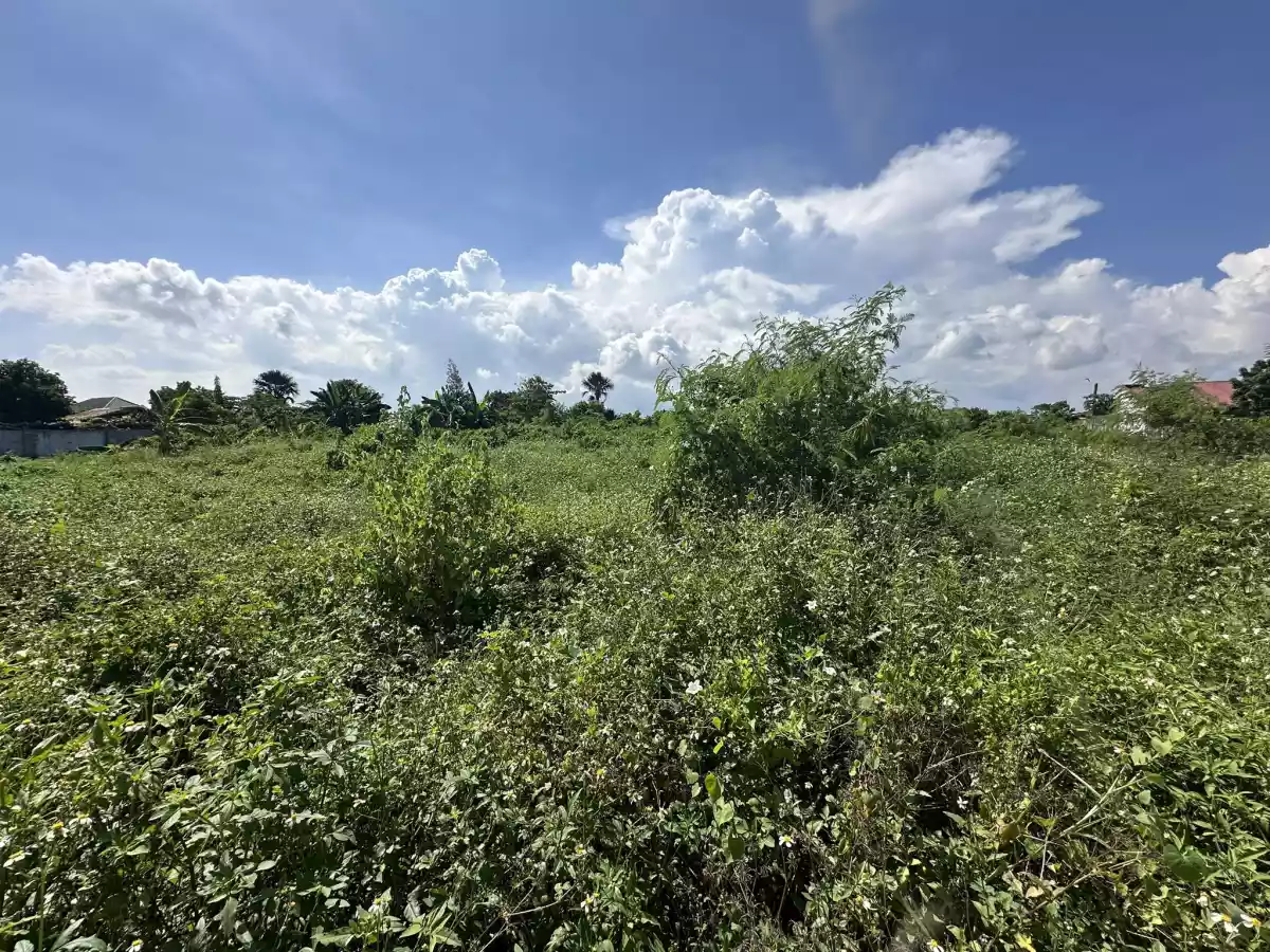 Commercial Land For Sale - photo 5
