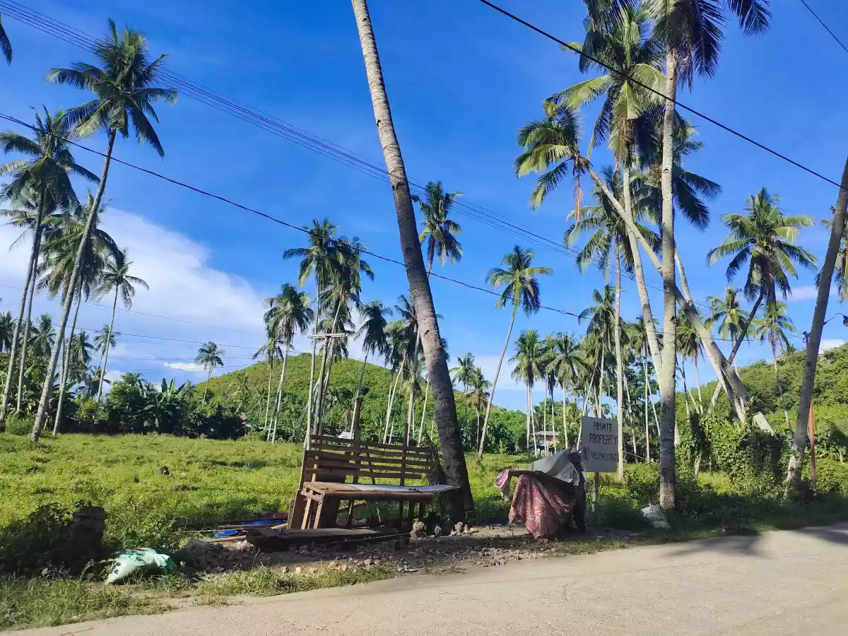 6220sqm Industrial Lot in Compostela — Industrial Lot in Compostela, Cebu, Philippines — Photo 3