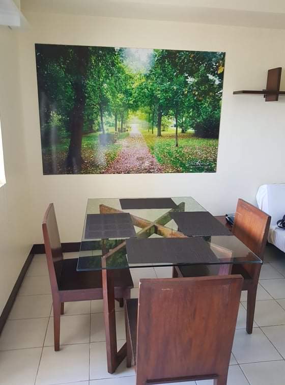 Fully Furnished 1 BR in Persimmon Condominium - photo 5