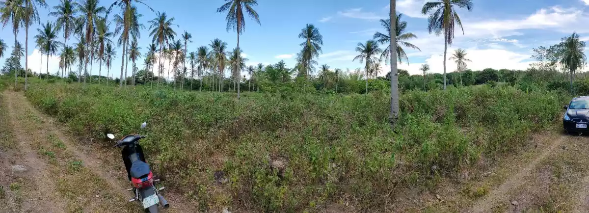 LOT for RUSH Sale in Masaplod Sur, Dauin
