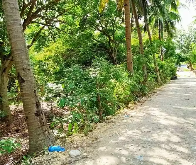 Beach lot — Beach Lot in Carmen, Cebu, Philippines — Photo 7