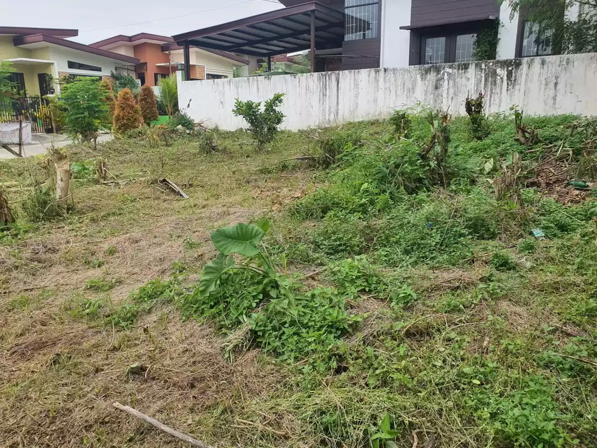 180sq.m LOT FOR SALE — Residential Lot in Buhangin, Davao City, Davao del Sur — Photo 5