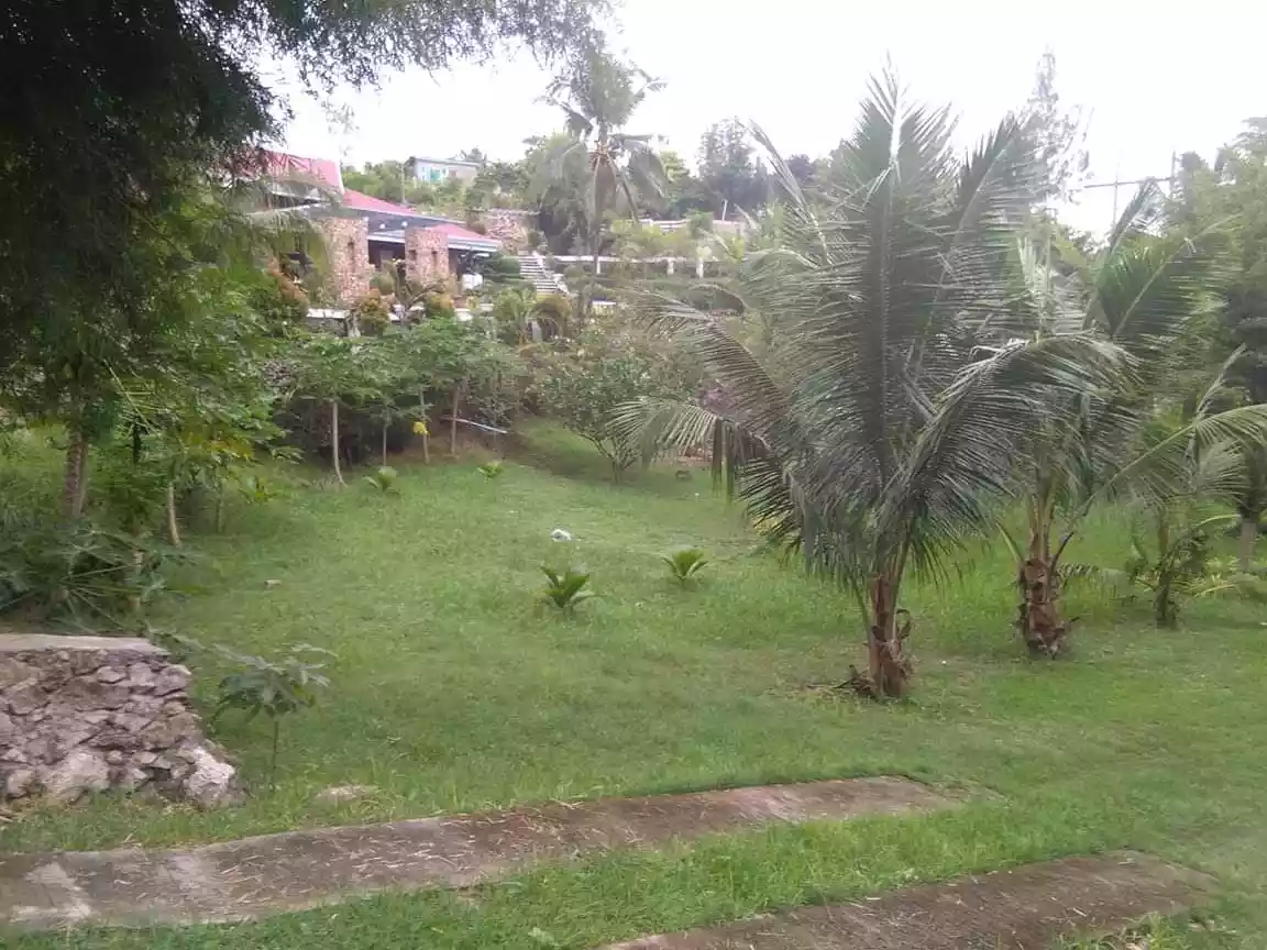 Commercial Lot for Sale with Conference/Function Hall — Commercial Lot in Carcar City, Cebu, Philippines — Photo 3