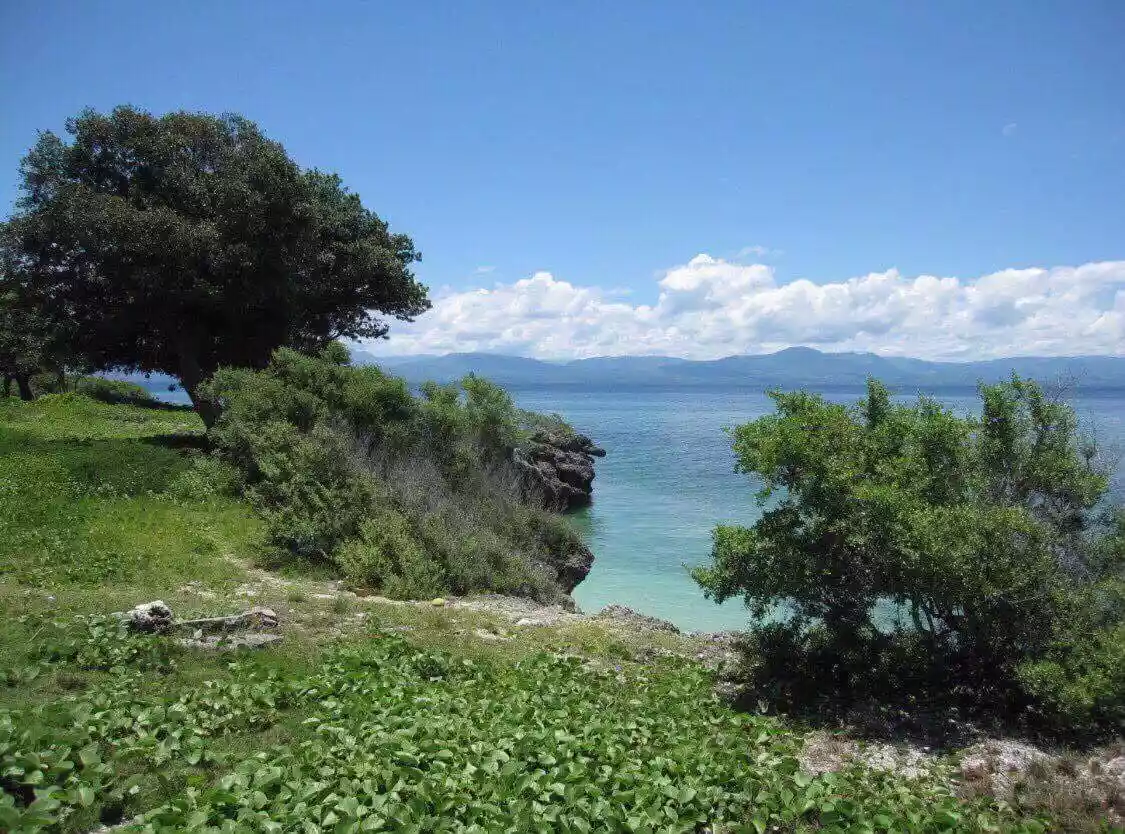 Moalboal Beach Lot for Sale - photo 7