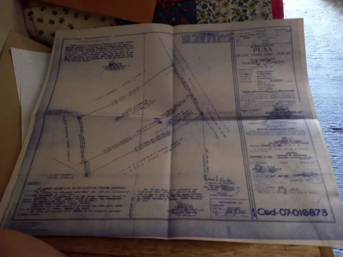 Residential Lot for Sale In Panglao Bohol - photo 5
