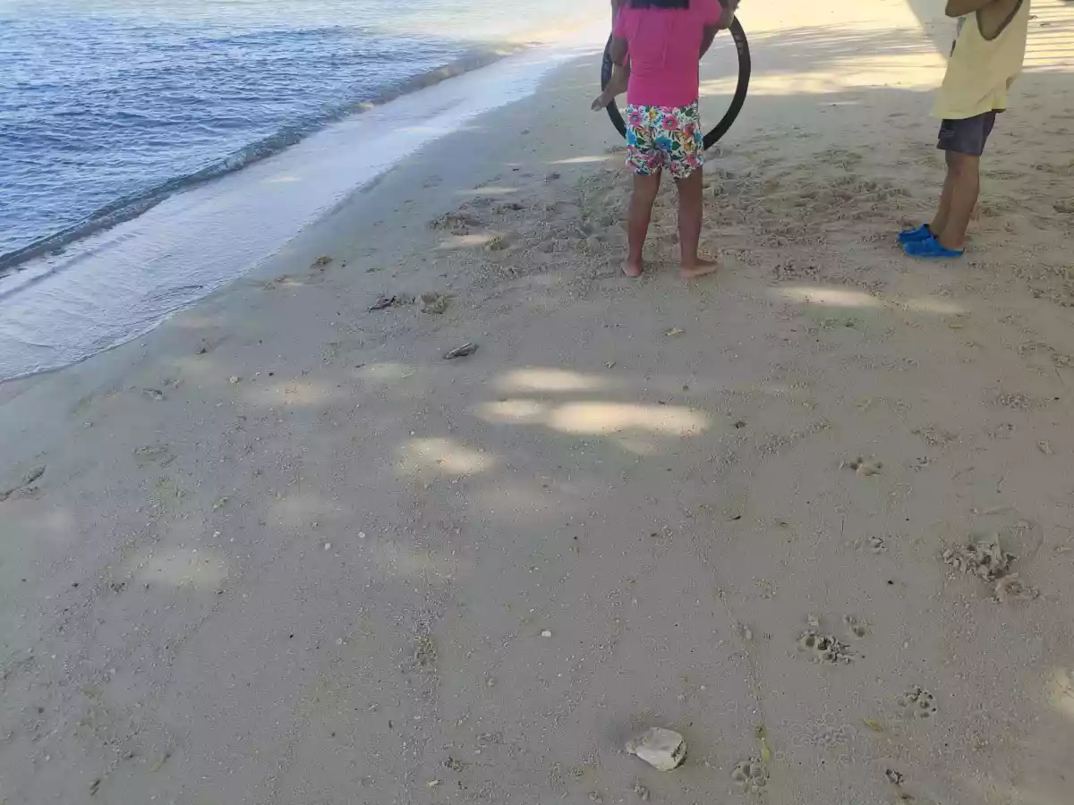 TITLED BEACH LOT - photo 3