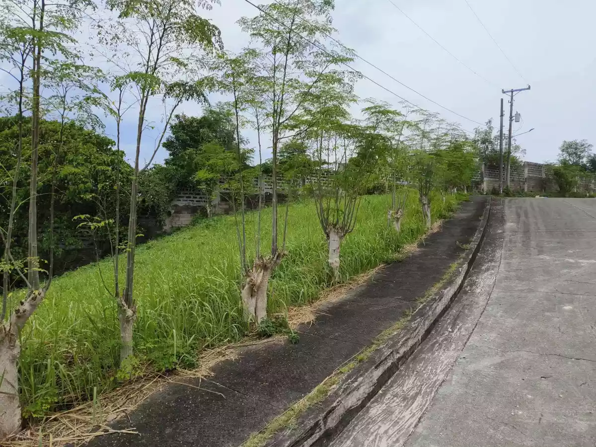 Residential Corner Lot in Royale Cebu Estate — Residential Lot in Consolacion, Cebu, Philippines — Photo 6