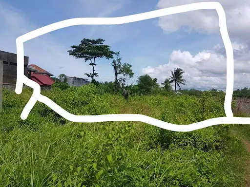 Commercial Lot For Sale in Balamban — Commercial Lot in Balamban, Cebu, Philippines — Photo 6