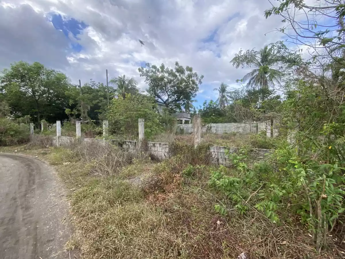 Residential Lot in Funda-Dalippe, San Jode De Beunavista, Antique