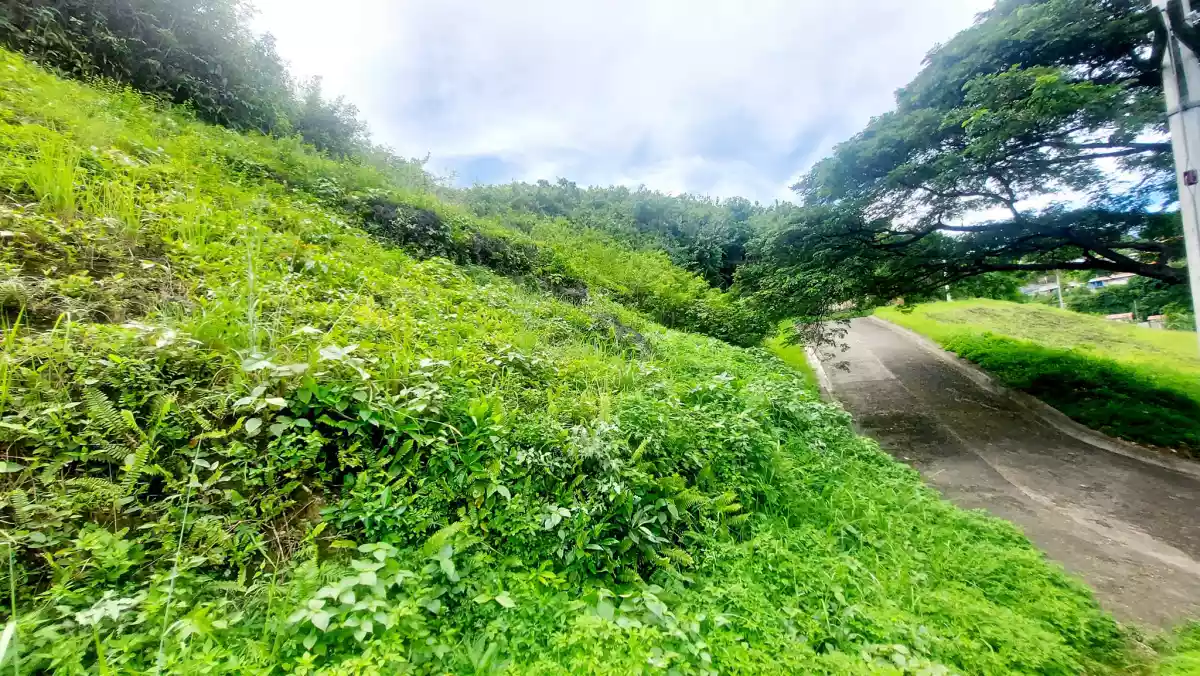 Residential Lots Adjascent for Sale in Aspen Heights Consolacion, Cebu — Residential Lot in Consolacion, Cebu, Philippines — Photo 3