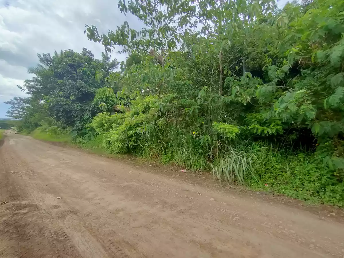LOT for Sale in Bagontaas, Valencia City — Agricultural Lot in Valencia City, Bukidnon, Philippines — Photo 6