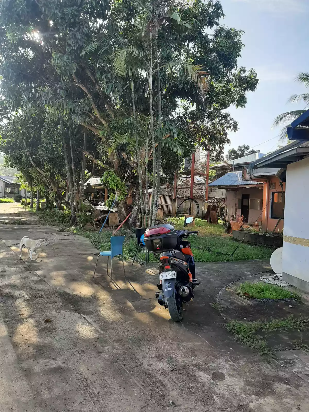 Vacant Lot for Sale/ Rentâ€¼ - photo 6