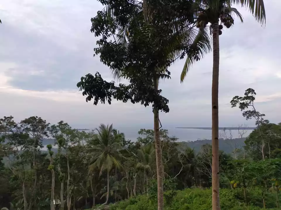 Sea Vew and Mountain View 4,507sqm title lot in Loon Bohol 800 per sqm - photo 2