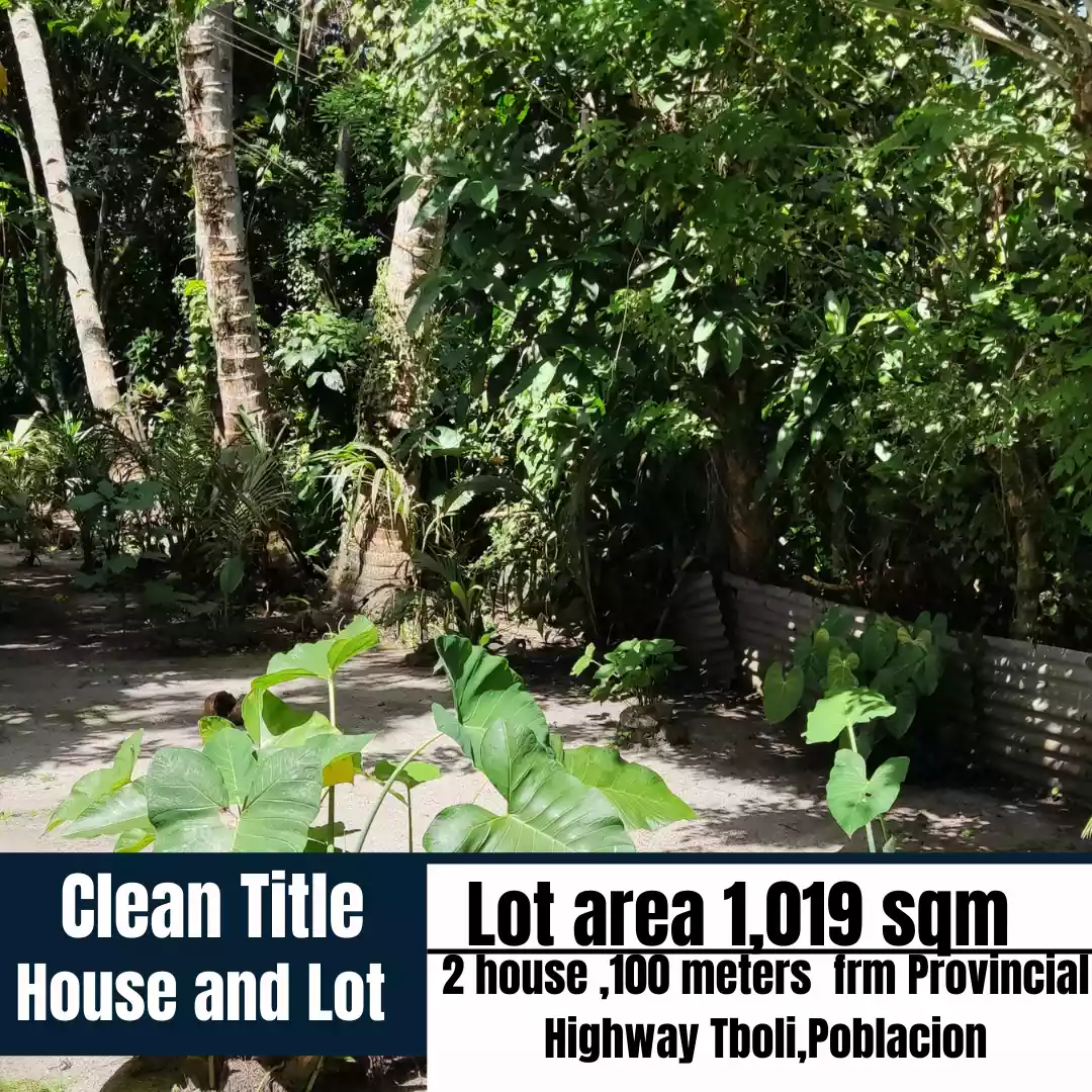 1,019 sqm residential lot with 2 house for Sale