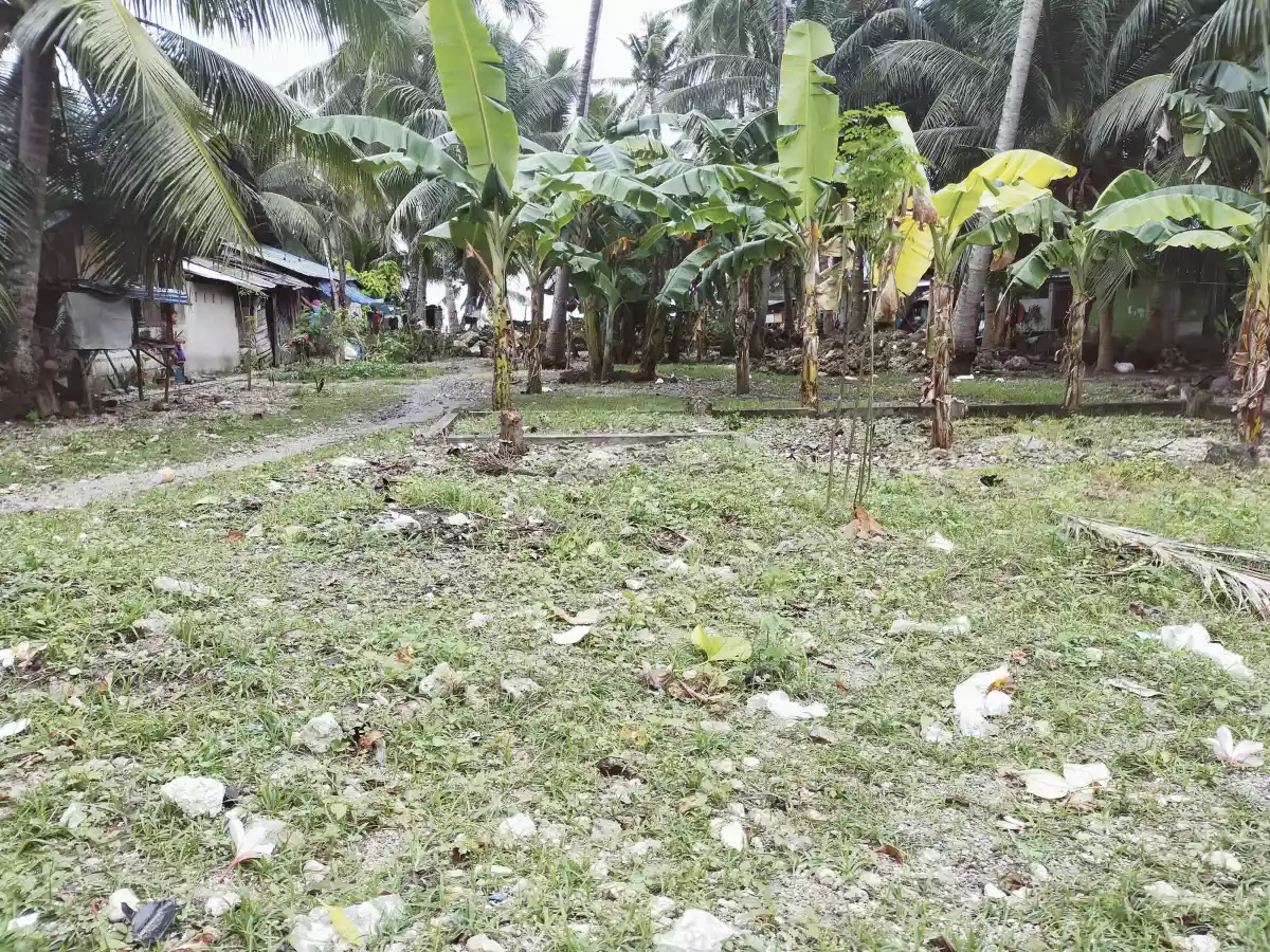 Beach Lot for Sale in Oslob Cebu — Beach Lot — Photo 5
