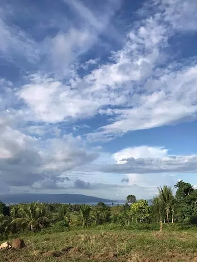 Large Agricultural Lot for Sale in Sibulan (Dumaguete) — Agricultural Lot in Negros Oriental, Philippines — Photo 5