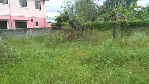 Lot Only for Sale