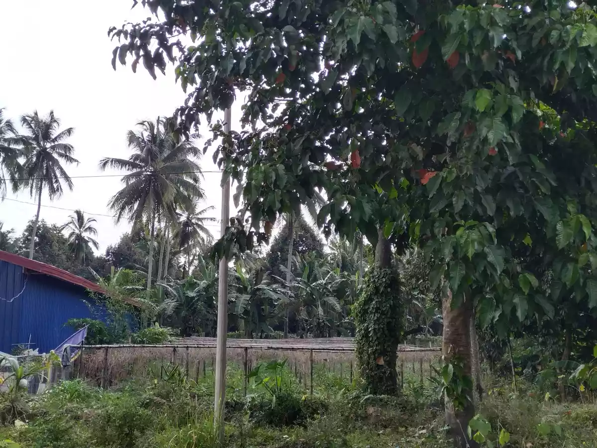 Along national highway