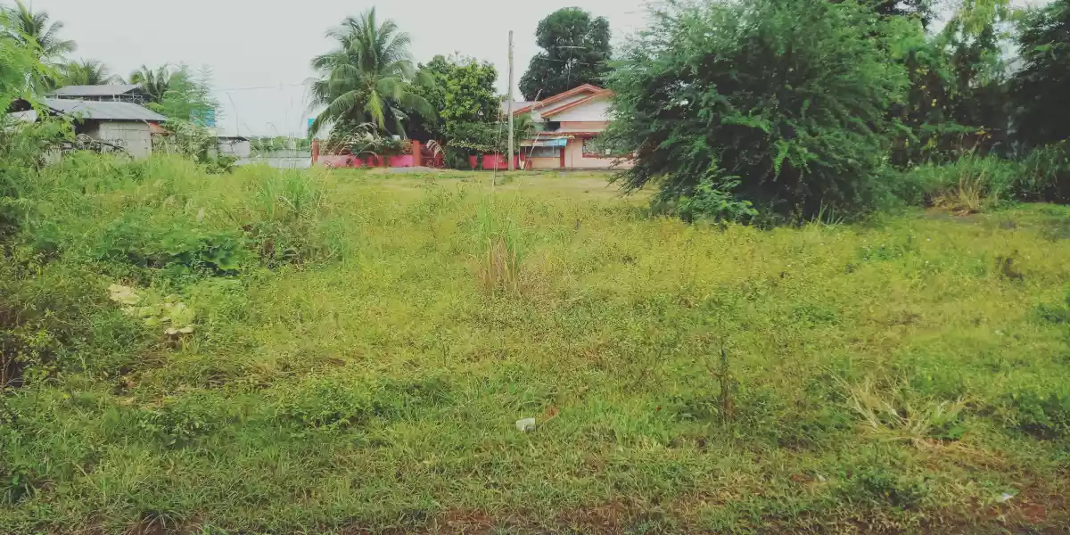 600 sqm Lot in Mabuhay Near Windsor for SALE! - photo 3