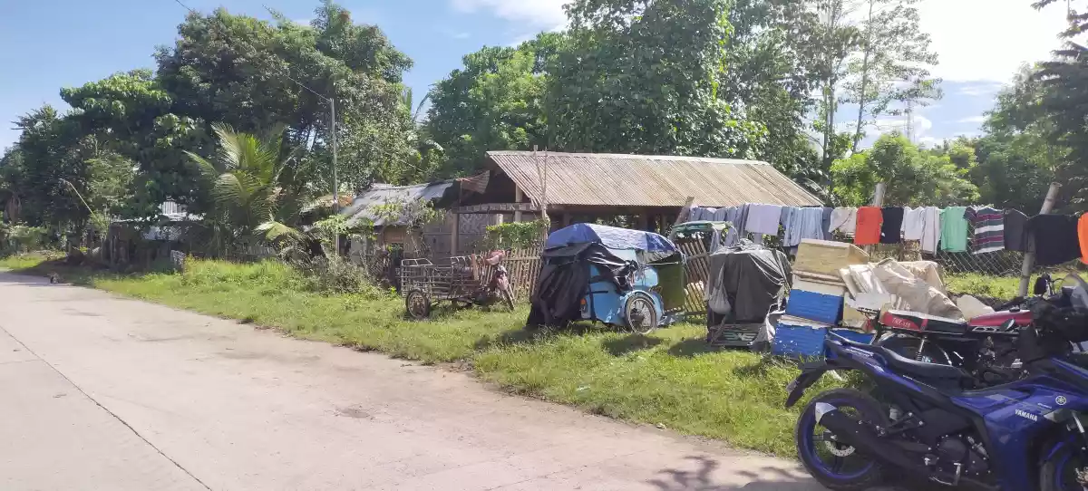 Alabel poblacion - photo 4