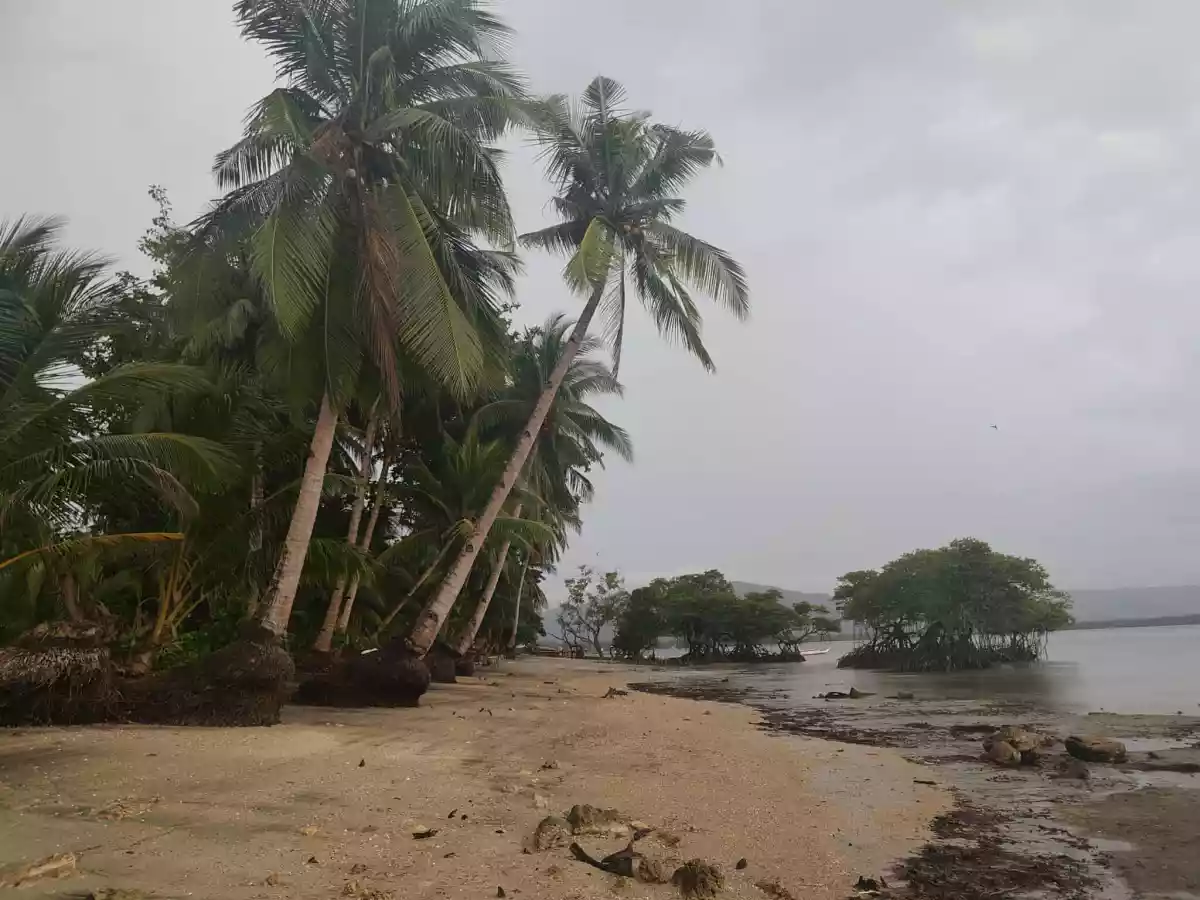 Beach Front Property for Sale (Sipalay) — Beach Lot in Sipalay City, Negros Occidental, Philippines — Photo 5