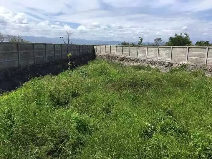 Lot for sale inside subd near beach resort in mactan - photo 6