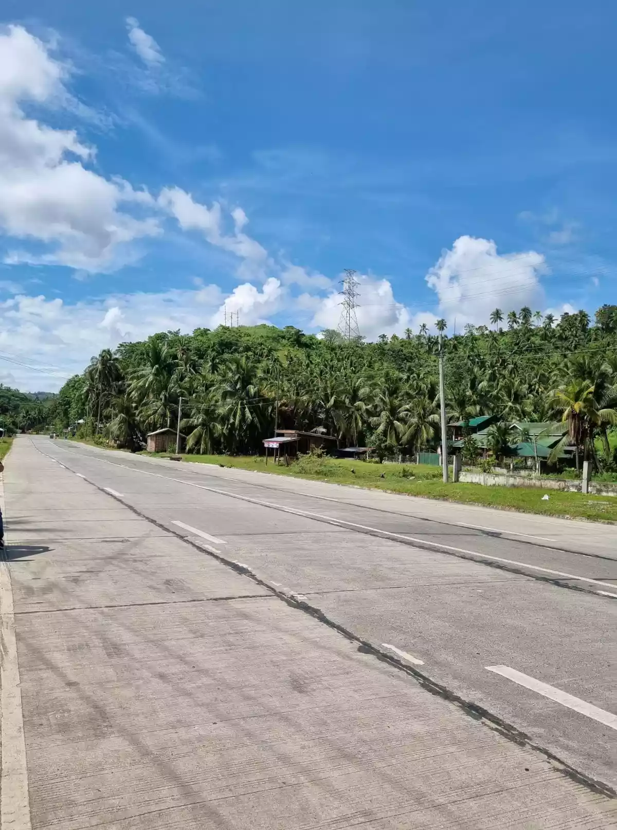 1.3 Hectares Land for Sale - photo 5