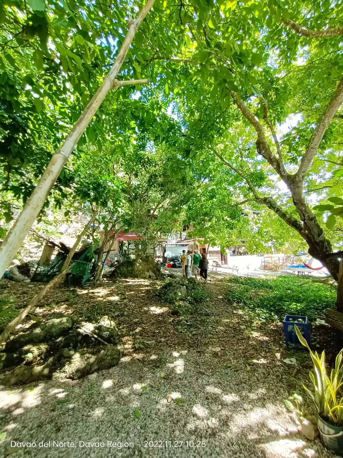 1 HECTARE BEACHLINE IN CANIBAD, SAMAL — Beach Lot in Samal, Island Garden City of Samal, Davao del Norte — Photo 3