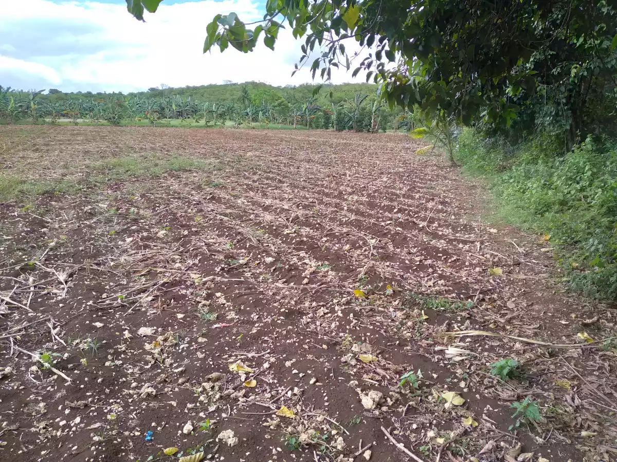 Agricultural Land with house For Sale