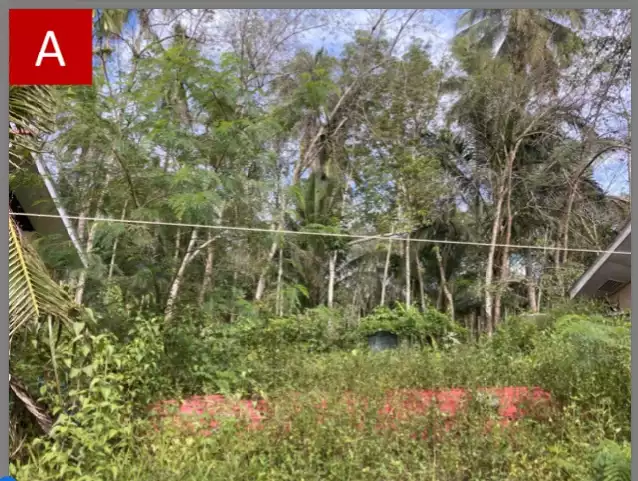 SUBDIVISION LOT:Makilala-Kidapawan — Residential Lot in Makilala, Cotabato, Philippines — Photo 2
