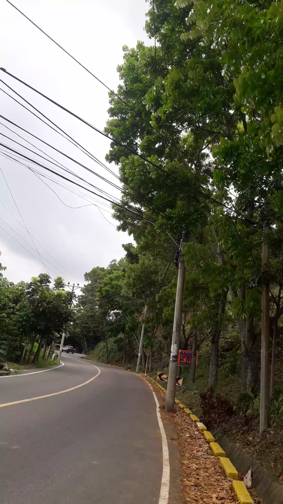 LOT FOR SALE - photo 4