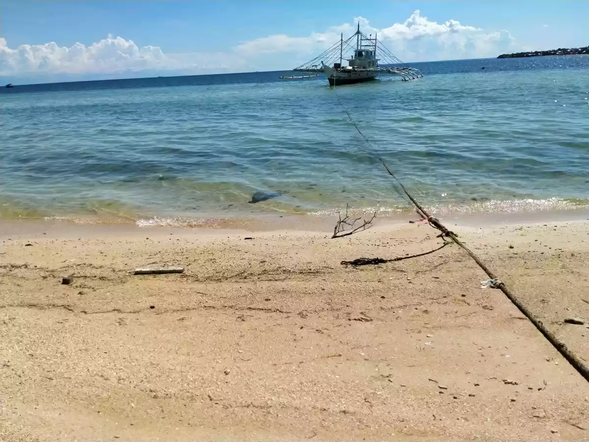 Beach House and Lot - photo 4