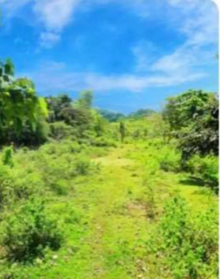LOT FOR SALE IN GUINDULMAN, BOHOL