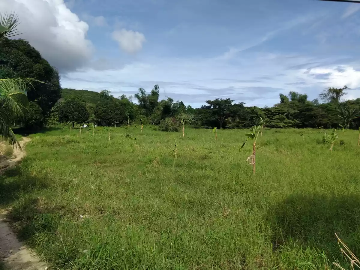 Affordable Industrial Lot - photo 6