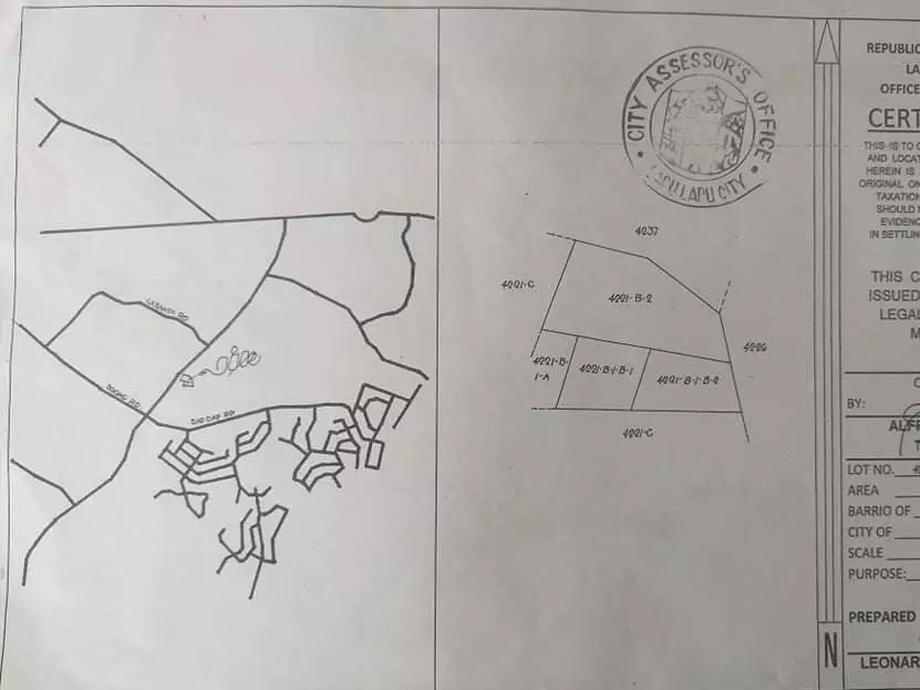 Commercial lot - photo 6