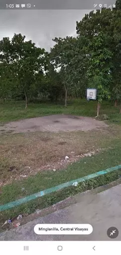 3359sqm lot for lease in Minglanilla - photo 3