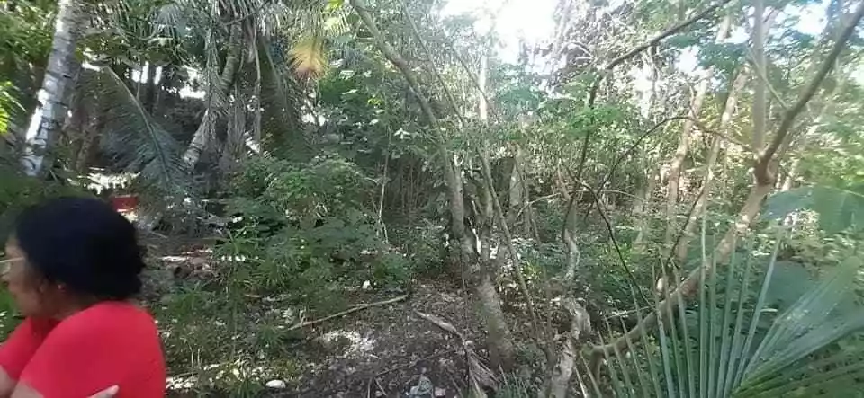 Lot for Sale - photo 4