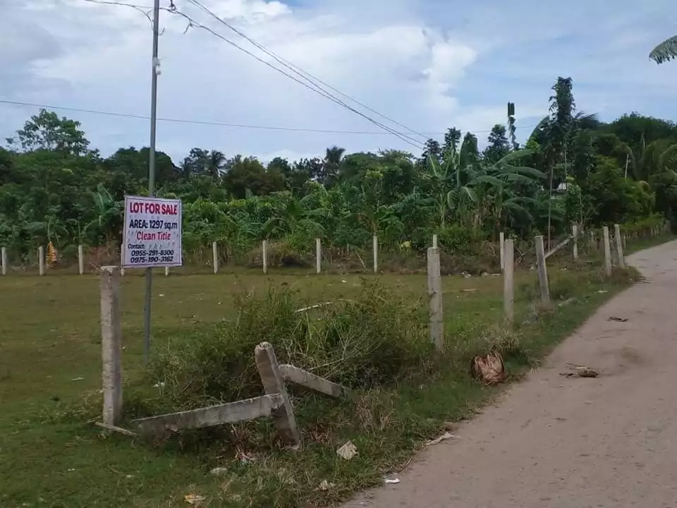 Clean Title Lot for Sale in Batinguel Dumaguete City - photo 6