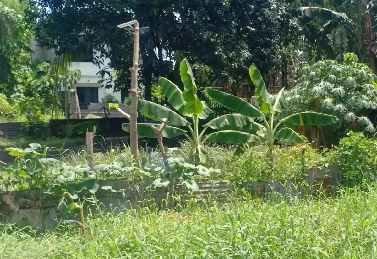 Lot For Sale — Residential Lot in N L S, A Road, General Santos City — Photo 4