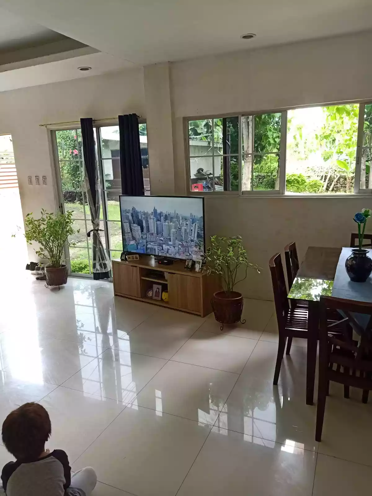House and lot - photo 5