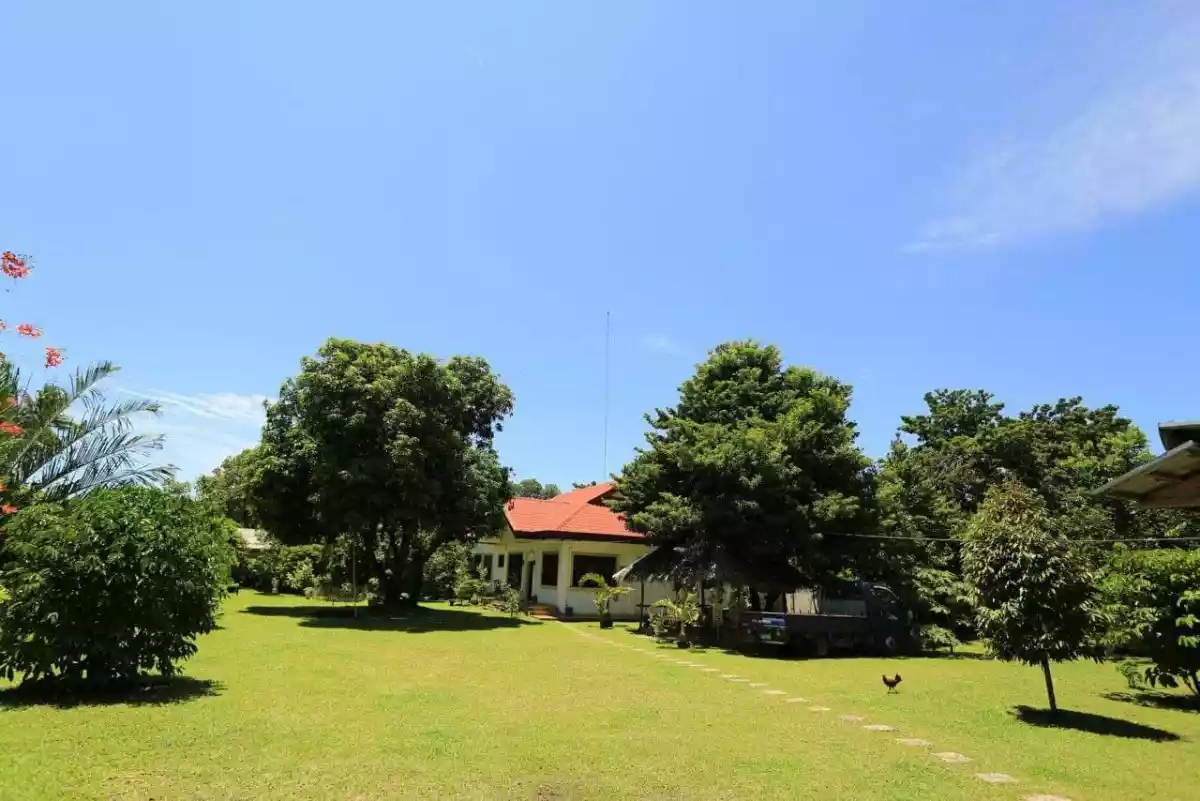HOUSE AND LOT FOR SALE — House and Lot in Dumaguete, Negros Oriental, Philippines — Photo 5