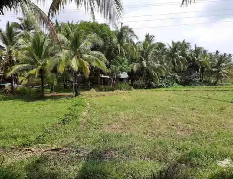 LOT FOR SALE IN TAWIN-TAWIN, GENERAL LUNA, SIARGAO ISLANDS