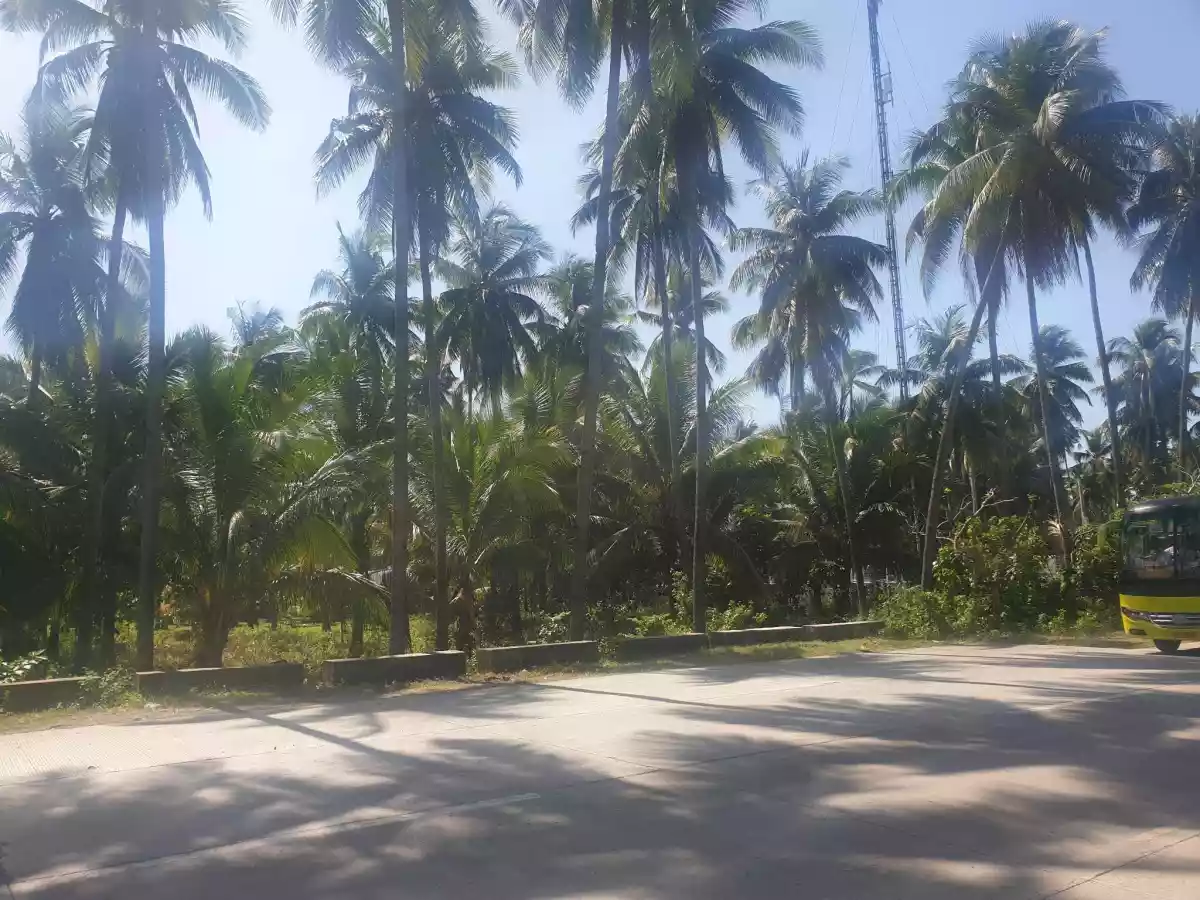 BEACH LOT FOR SALE — Agricultural Lot in Negros Oriental, Philippines — Photo 6