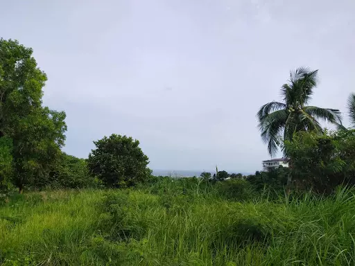 Overlooking subdivision lot - photo 3