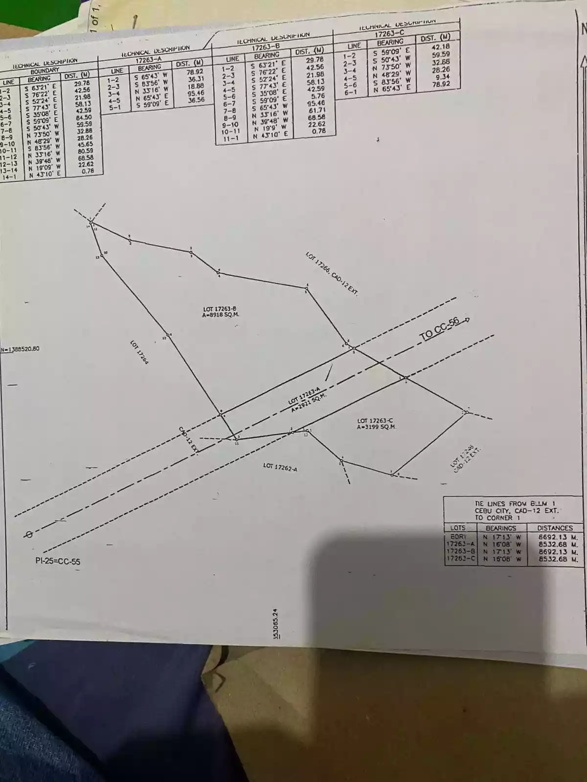 Selling Low 15,000 sqm Lot in Busay Cebu - photo 3