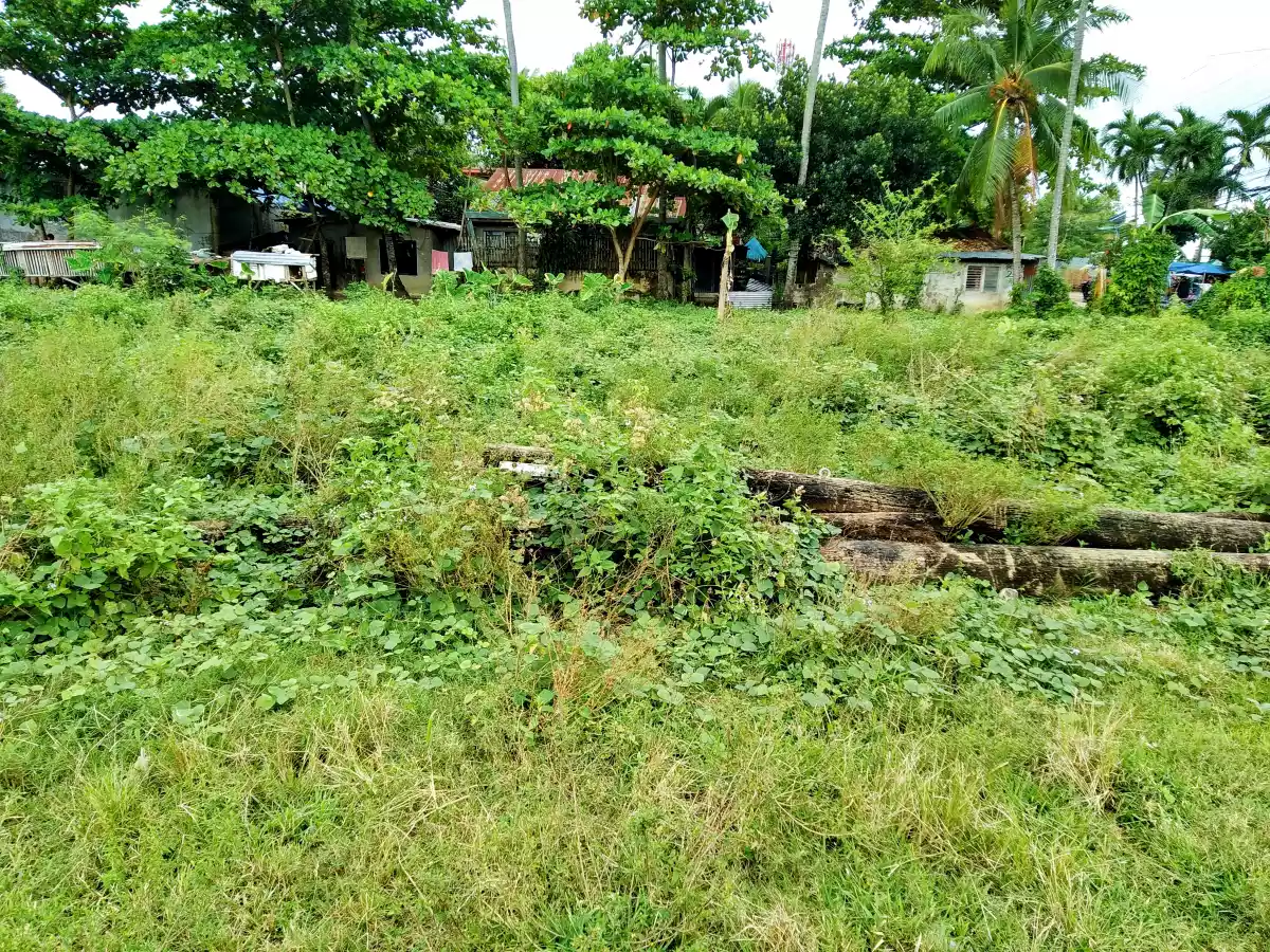 Affordable Industrial lot