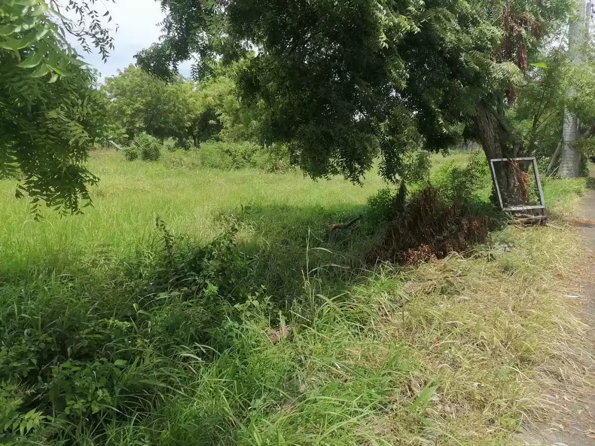 Lot for Sale - photo 5