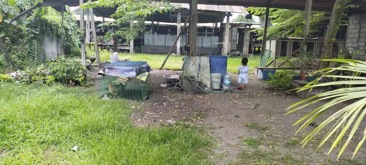 Lesson property — Industrial Lot in Polomolok, South Cotabato, Philippines — Photo 5